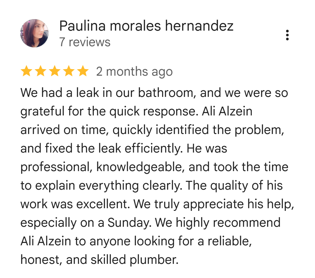 Five-star Google review from Paulina Morales Hernandez recommending Ali Alzein for a bathroom leak repair