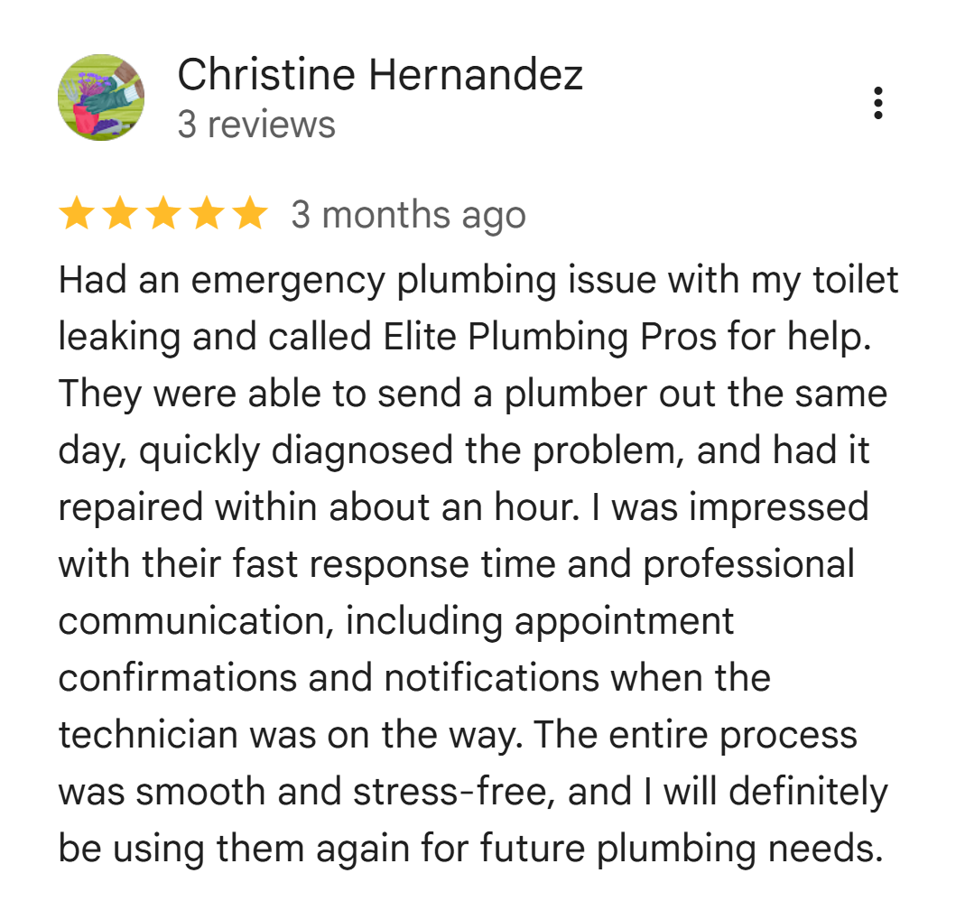 Five-star Google review from Christine Hernandez about a fast emergency toilet leak repair